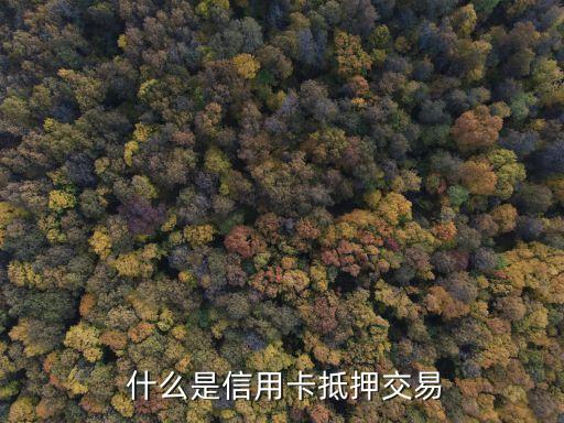 什么是信用卡抵押交易