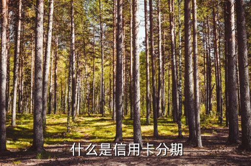 什么是信用卡分期