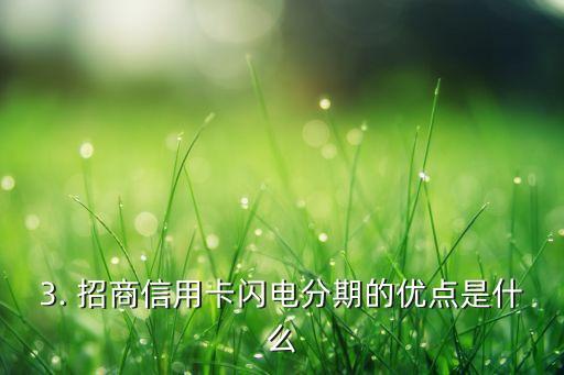 招商信用卡闪电分期，招商银行信用卡推出快速分期服务