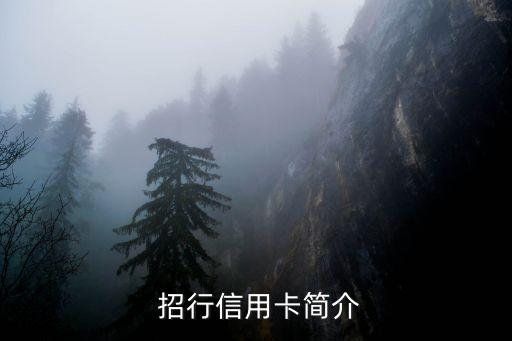 招行信用卡简介