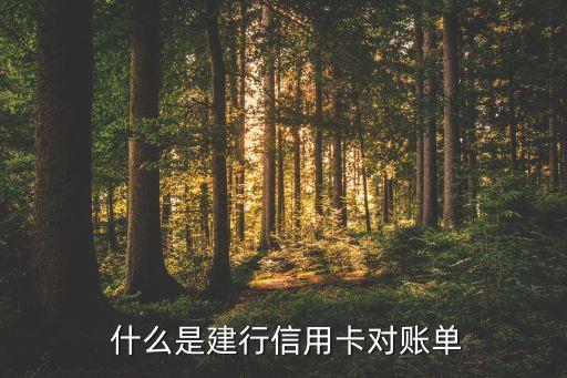 什么是建行信用卡对账单