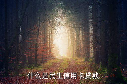 什么是民生信用卡贷款