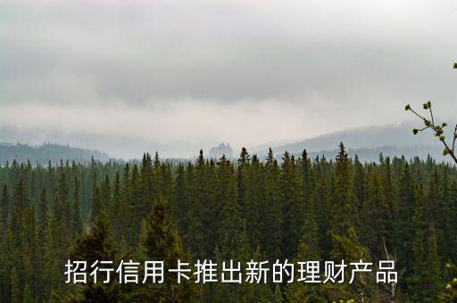 招行信用卡推出新的理财产品