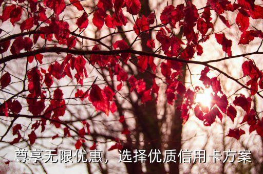 尊享无限优惠,选择优质信用卡方案