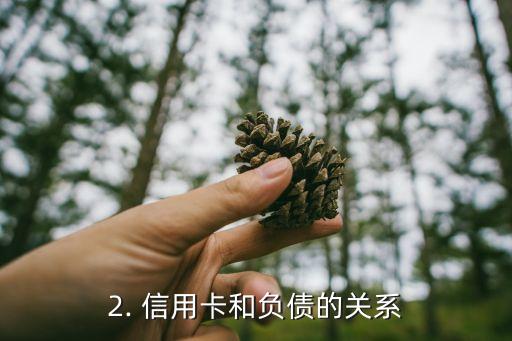 无视负债的信用卡，无视负债！信用卡轻松用起来！