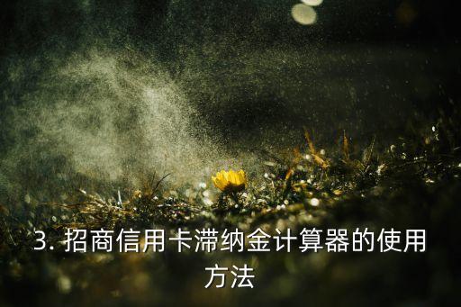 招商信用卡滞纳金计算器，招商信用卡滞纳金计算工具