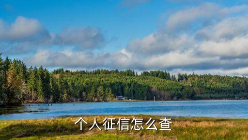 个人征信怎么查