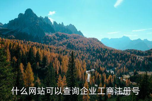 什么网站可以查询企业工商注册号
