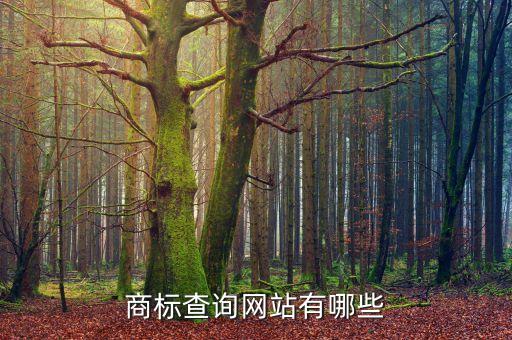 商标查询网站有哪些