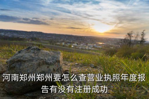 河南营业执照查询，河南郑州郑州要怎么查营业执照年度报告有没有注册成功