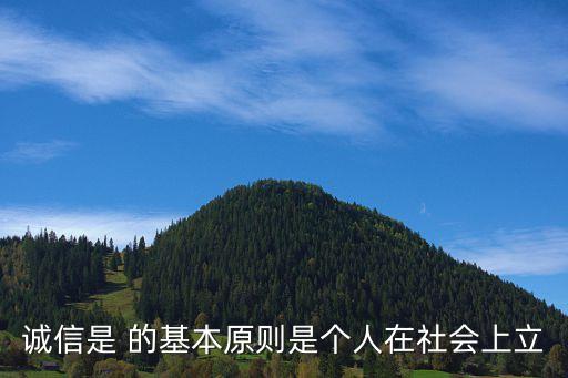 诚信是 的基本原则是个人在社会上立