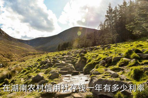 湖南农村信用社官网存款年利息，3万元从湖南农村信用社一年定期有多少利息