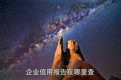 企业信用报告在哪里查