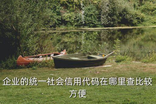 企业的统一社会信用代码在哪里查比较方便