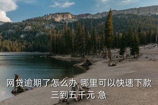 网贷有逾期去哪里可以借到钱，网贷逾期了怎么办 哪里可以快速下款三到五千元 急