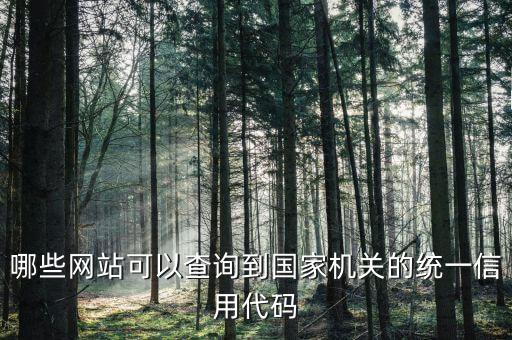 全国社会组织信用信息公示平台，有多少个大小统一社会信用代码查询网站都是什么