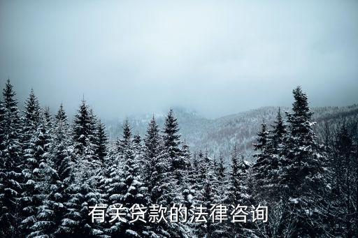 有关贷款的法律咨询