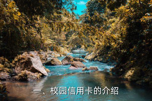 一、校园信用卡的介绍