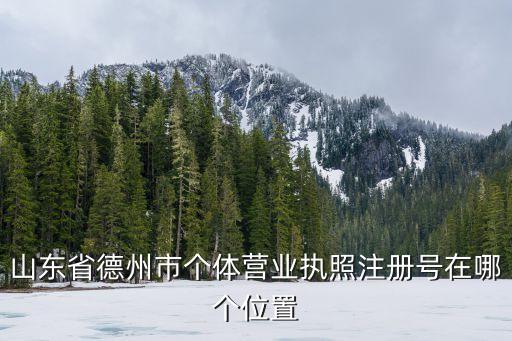 德州市营业执照，德州在哪办工商营业执照需要交多少钱