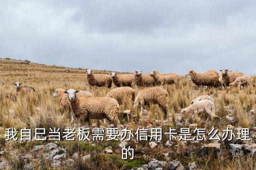 申请自己公司信用卡怎么办，在公司上班如何办理信用卡
