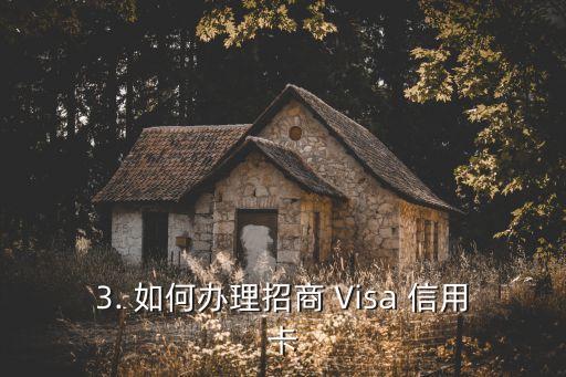 招商可以办visa信用卡额度是多少钱，办理visa信用卡需要的最低额度是多少钱？