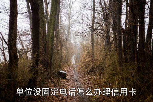 单位没固定电话怎么办理信用卡