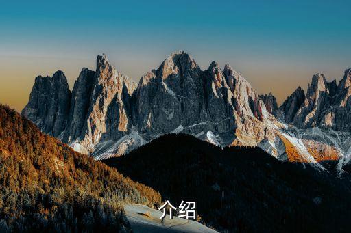 介绍