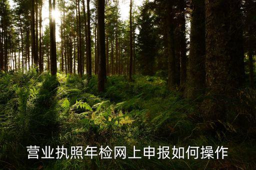 营业执照年检网上申报如何操作