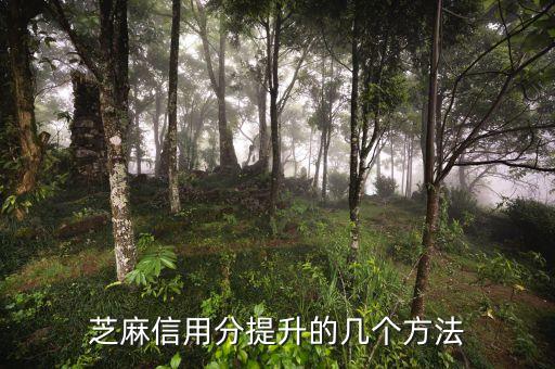 芝麻信用分提升的几个方法