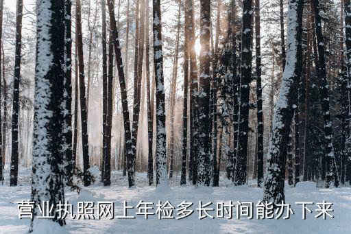 营业执照网上年检多长时间能办下来