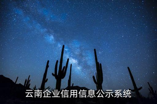 云南企业信用信息公示系统