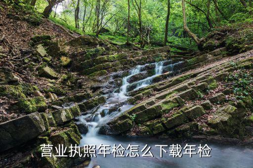 查营业执照年检的软件，怎么下载手机个人营业执照年审软件