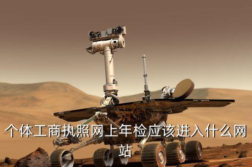 个体工商执照网上年检应该进入什么网站