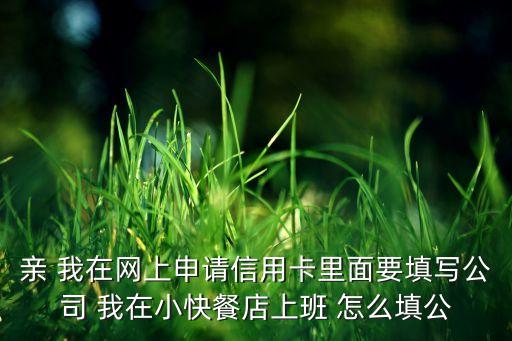 外卖办信用卡怎么填公司，亲 我在网上申请信用卡里面要填写公司 我在小快餐店上班 怎么填公