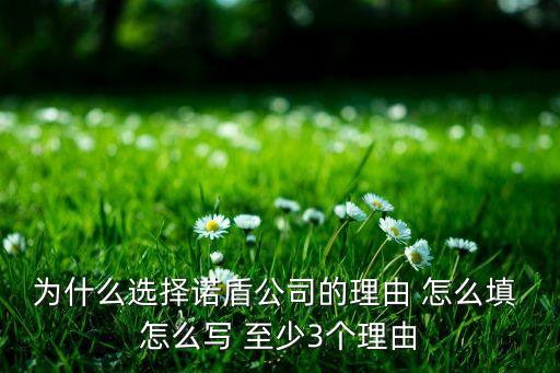 信用卡选择公司原因怎么填，为什么选择诺盾公司的理由 怎么填 怎么写 至少3个理由