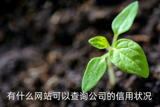 怎么找信用等级高低的公司，我想找外部信用评级在AA以上的担保公司希望大家告诉我几个不胜感