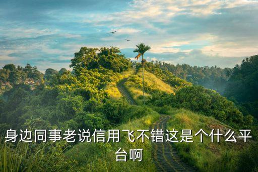 身边同事老说信用飞不错这是个什么平台啊
