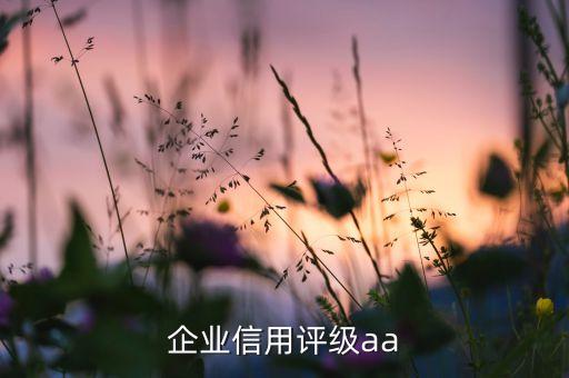 企业信用评级aa