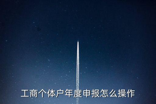 工商个体户年度申报怎么操作
