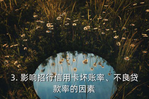 招行信用卡坏账率，招行信用卡不良贷款率新高