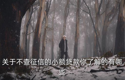 不看征信的私人贷款，不看征信下款最快绝对真实的贷款有哪些