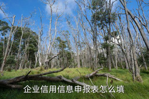 企业信用信息系统怎么填，河南全国企业信用信息公示系统怎么填