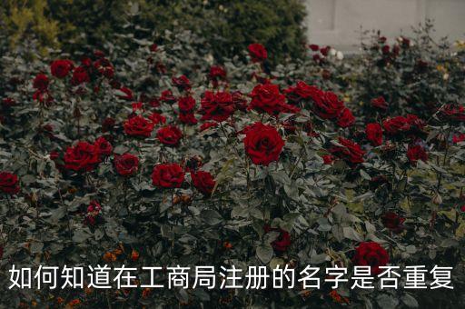 注册营业执照名字怎么查重，如何知道在工商局注册的名字是否重复