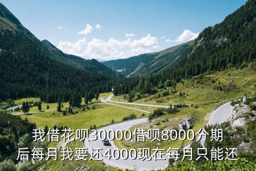 借呗花呗网商贷怎么协商延期还款，花呗最低还款还不上 可以申请延期嘛