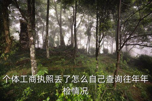 个体工商执照丢了怎么自己查询往年年检情况