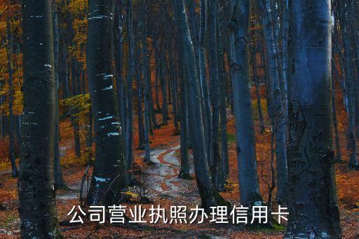 如何申请企业信用卡，公司营业执照办理信用卡