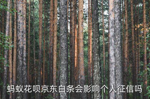 蚂蚁花呗京东白条会影响个人征信吗