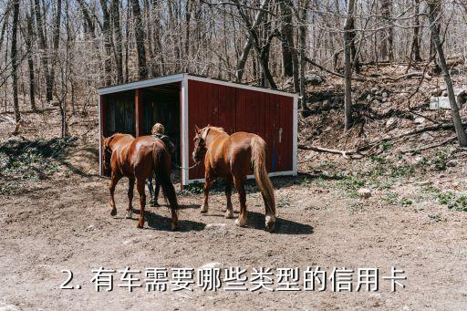 有车什么信用卡好，有车的最佳信用卡推荐