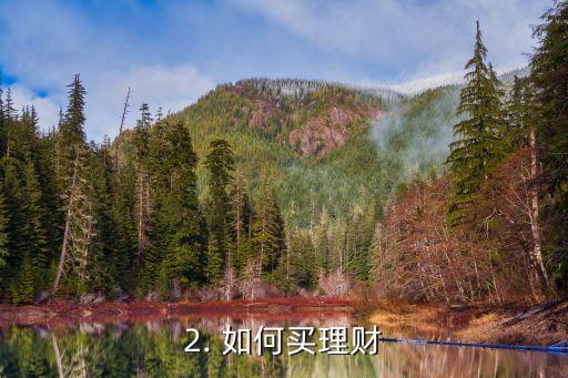 买理财换信用卡，买理财换信用卡：一举两得的重要财务决策