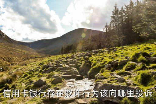 信用卡公司违法吗怎么举报，信用卡银行存在欺诈行为该向哪里投诉